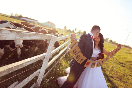 新娘和新郎奶牛农场附近持有刚刚结婚的卡，