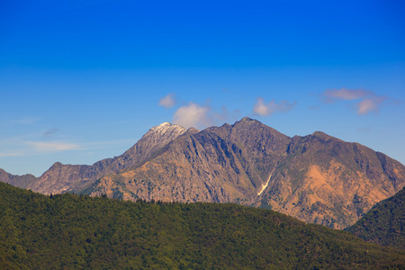 泽山