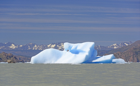 不寻常的冰山在冰川湖