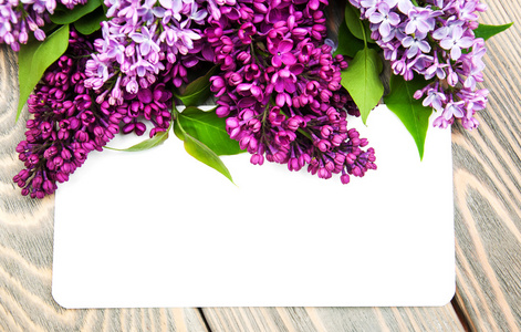 淡紫色的花，空卡
