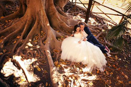新娘和新郎坐在树的根部