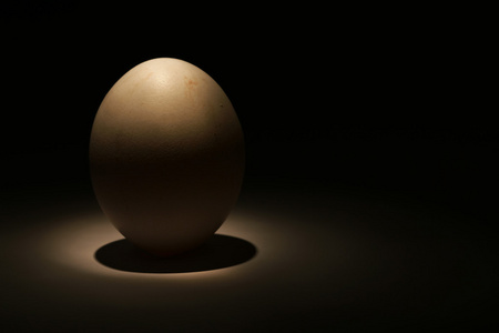 一个鸡蛋在黑暗中