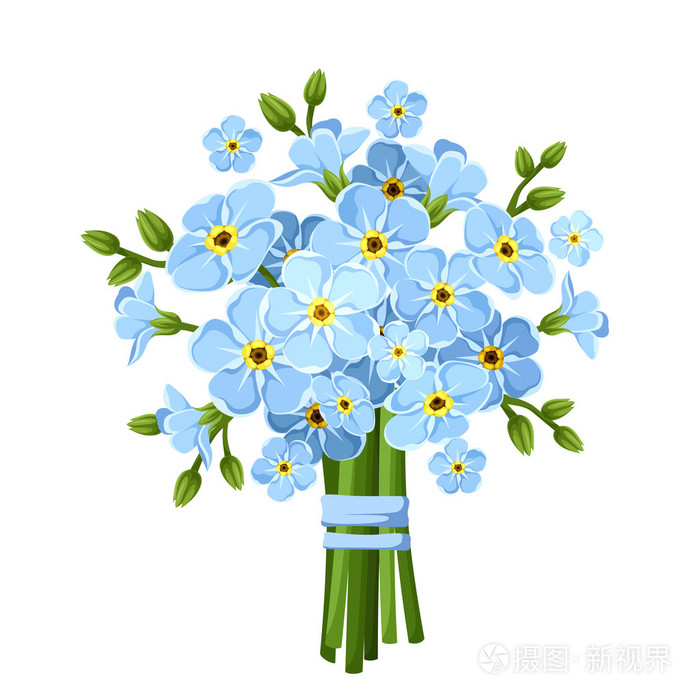 蓝色勿忘我花的香味.矢量图