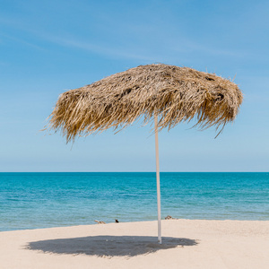 漂亮的稻草伞在海滩。在岛苏梅岛 Thaila