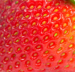 孤立的新鲜草莓