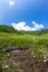 克里克在山 Mirnock