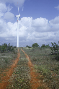 风电场中的风力涡轮机