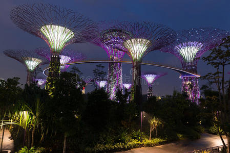 新加坡海湾花园夜景照明
