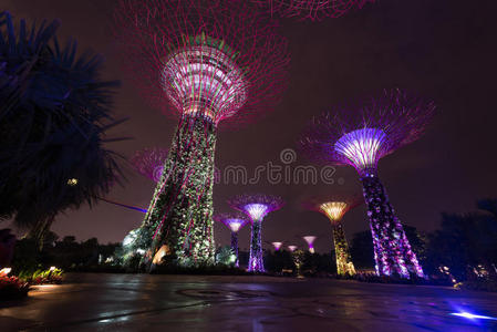 新加坡海湾花园夜景照明