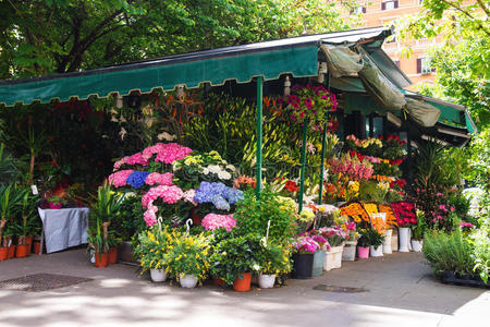 意大利城市花卉专卖店