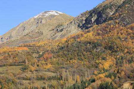 比利牛斯山脉和树木，秋天