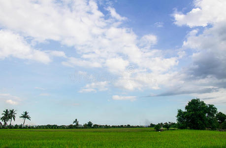 田野与天空