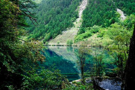 瓷器 世界 生物圈 秋天 公园 森林 美丽的 水域 九寨沟