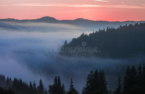 壮丽的落日在山上的风景。乌克兰喀尔巴阡山