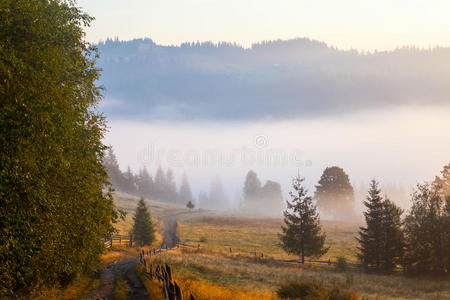 壮丽的落日在山上的风景。乌克兰喀尔巴阡山