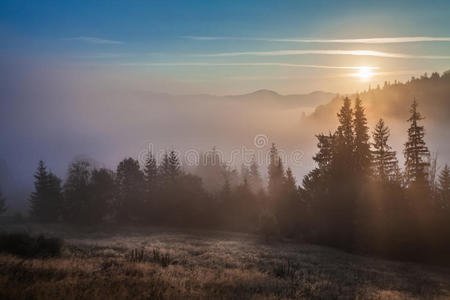 壮丽的落日在山上的风景。乌克兰喀尔巴阡山