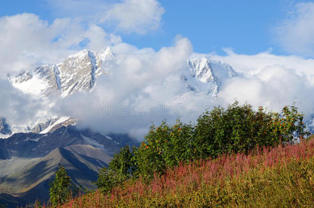 佐治亚州高山草甸区上斯瓦内提山脉景观