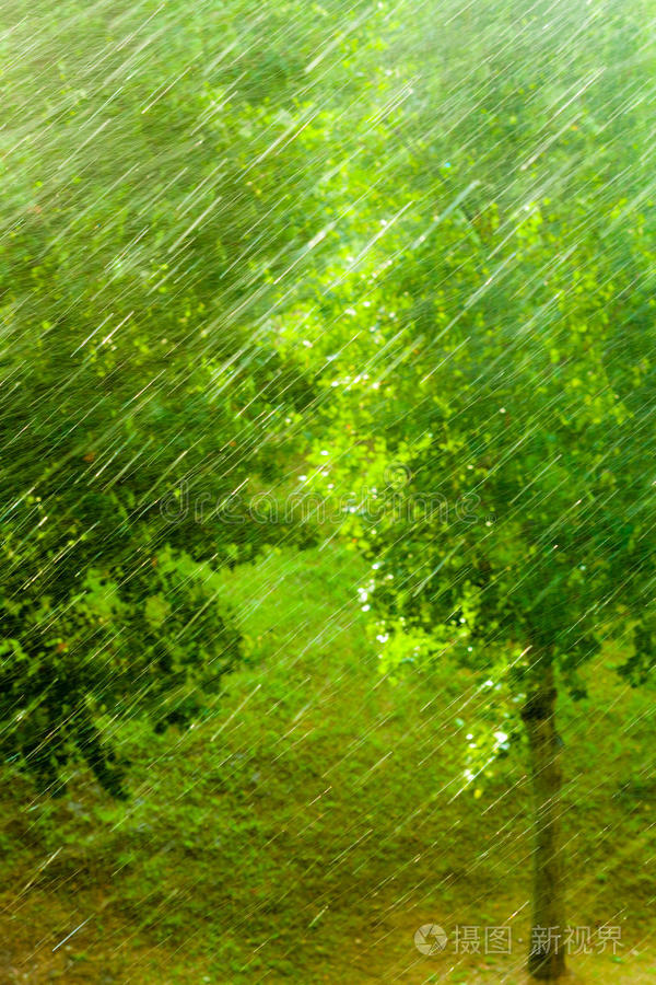 雨天窗外绿色的背景纹理。