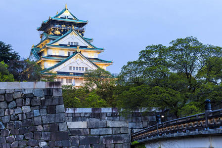 日本大阪夜城堡
