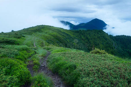 山间小路