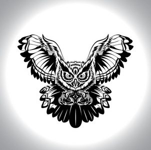 黑白画猫头鹰照片