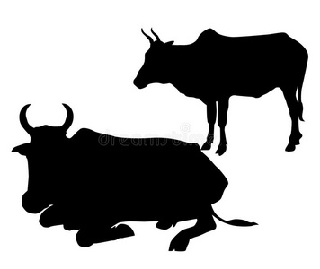 两头奶牛轮廓集向量