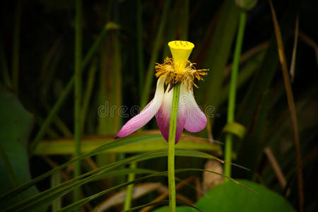 还有季节吗