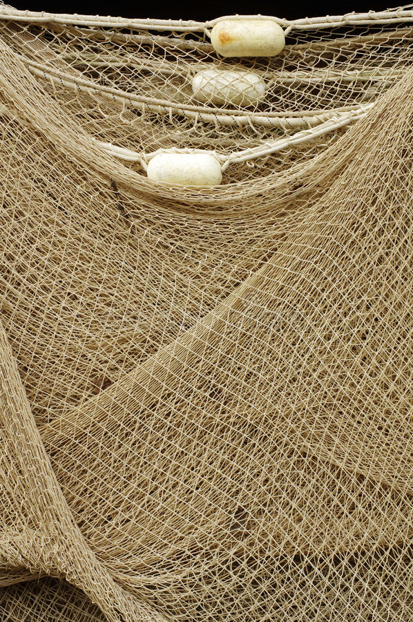 长江大维护十周年·百村考察调研行丨千舟归岸从“江湖”到家乡