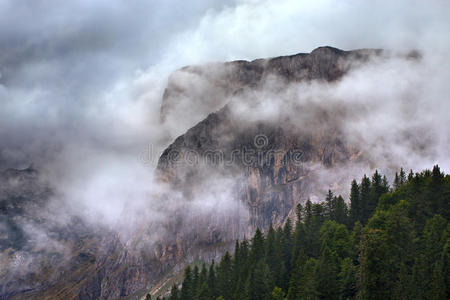 雾中山景