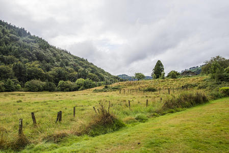 爱尔兰山地景观