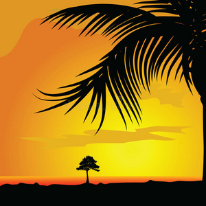 dsert插图中的棕榈树