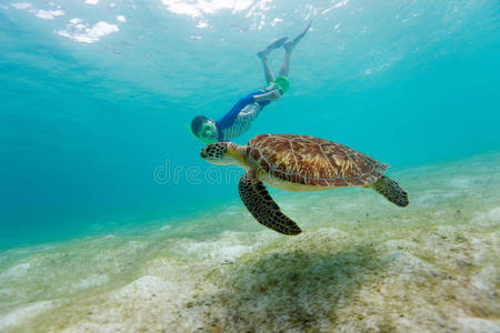 和海龟一起浮潜的男孩