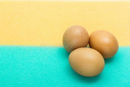 海绵上的鸡蛋