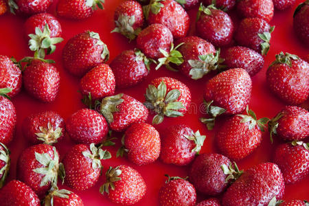 草莓色背景。闭合。
