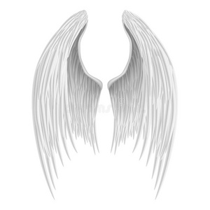 白色折叠天使翅膀。