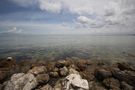 坦帕湾岩石海岸线