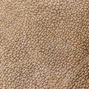 棕色大象皮照片