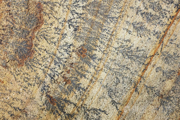 化石 标记 厚板 纹理 面纱 铺路 薄荷 岩石