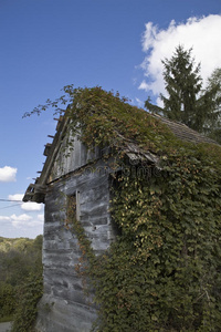 葡萄园小屋