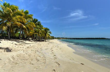 多米尼加共和国卡塔琳娜岛海滩