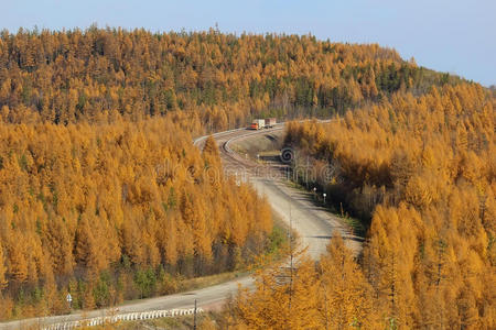 秋天的山路