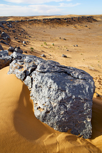 老布什在摩洛哥撒哈拉和岩石石头天空沙漠中