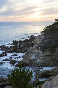 峭壁和松树在日落时的海岸线