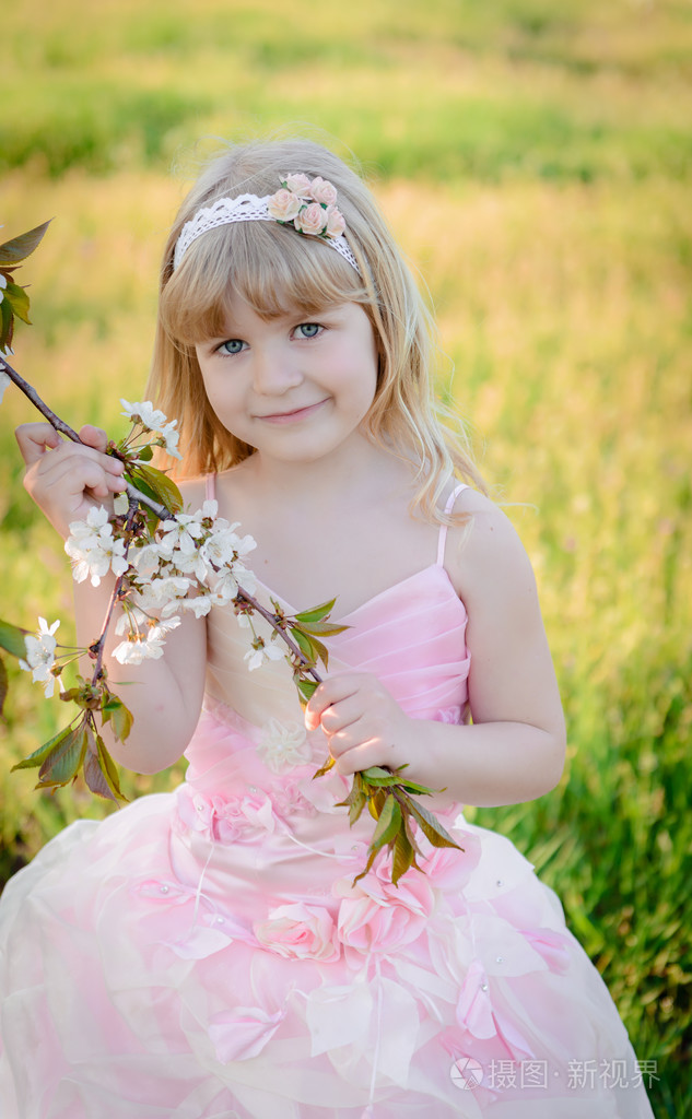 两个小可爱女孩姐妹穿着粉红色的连衣裙照片-正版商用图片1jdfbv-摄图