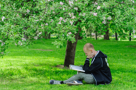 年轻人看书下棵开花的树
