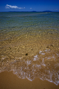 海滩和爱管闲事的 mamoko 中的水