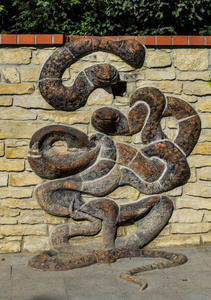 石头上的蛇