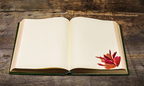 打开书本和压的花照片