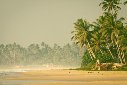 夏季热带海滩复古风格背景