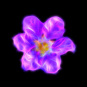 皇后紫薇花的发光图像